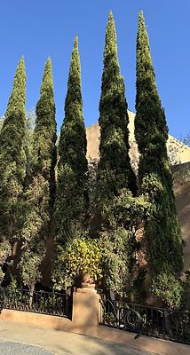 VAL VERDE current read 122024-65 VAL VERDE current read 122024-65