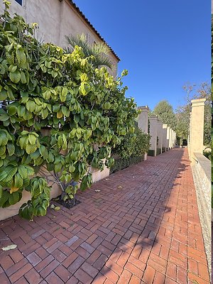 VAL VERDE current read 122024-31 VAL VERDE current read 122024-31