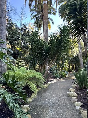 VAL VERDE current read 122024-126 VAL VERDE current read 122024-126