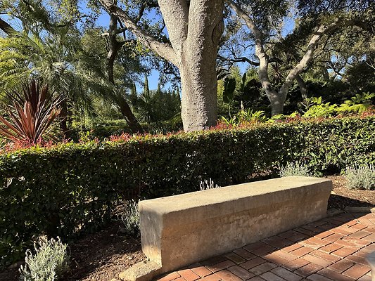 VAL VERDE current read 122024-144 VAL VERDE current read 122024-144