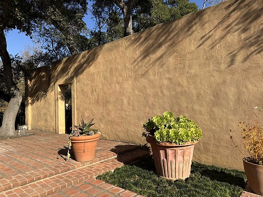 VAL VERDE current read 122024-44 VAL VERDE current read 122024-44