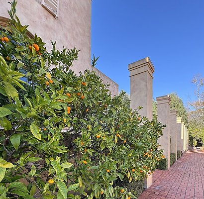 VAL VERDE current read 122024-29 VAL VERDE current read 122024-29