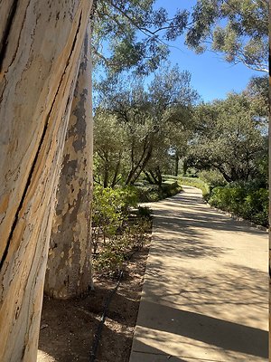 BELLA VISTA  Lutah Maria Riggs-120