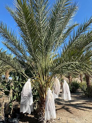 87a13f87-04a4-41fa-af8f-0cd61a93037c