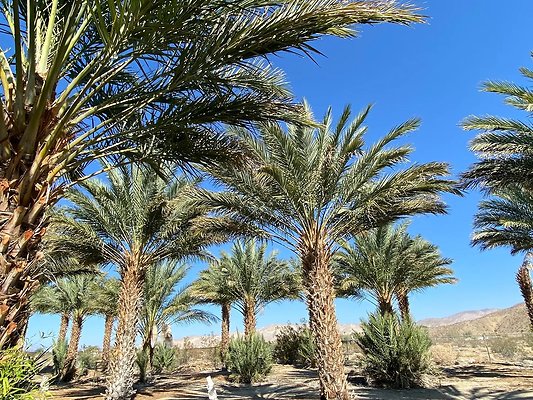 20164250-fd68-4780-80c5-a7939bc1e52d