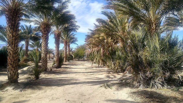 IMG 20240115 110413294 HDR