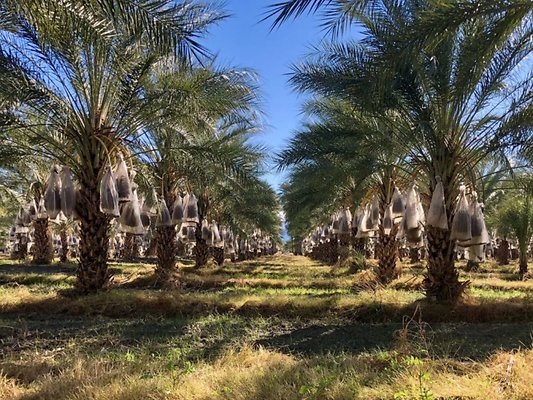 IMG 3145-scaled-e1574125740103-1024x768