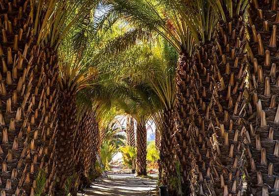 75819106007-20241019-sam-cobb-farms-005