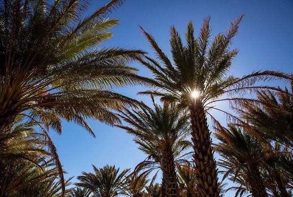 75819098007-20241019-sam-cobb-farms-002