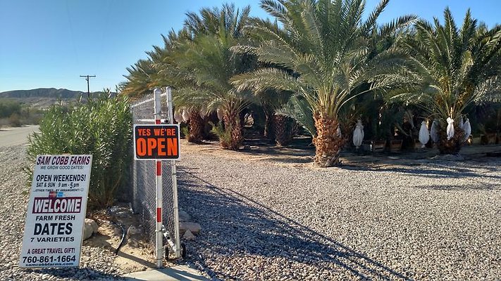 d6616ffbf9fc484194e94db5de78c0c1