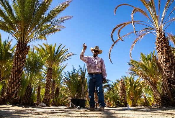 75819105007-20241019-sam-cobb-farms-001